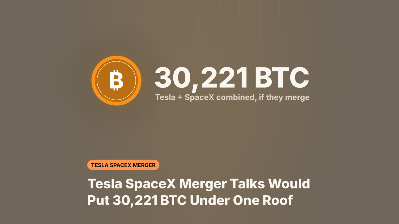 Illustration showing the 30,221 BTC Tesla and SpaceX would hold together if they merge
