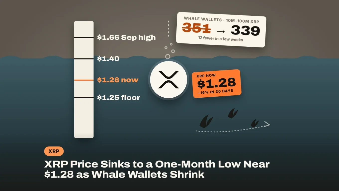 XRP price sinks to a one-month low near $1.28: the XRP coin sinking past a tide pole marked $1.66, $1.40, $1.28 and $1.25, with whale wallets down from 351 to 339